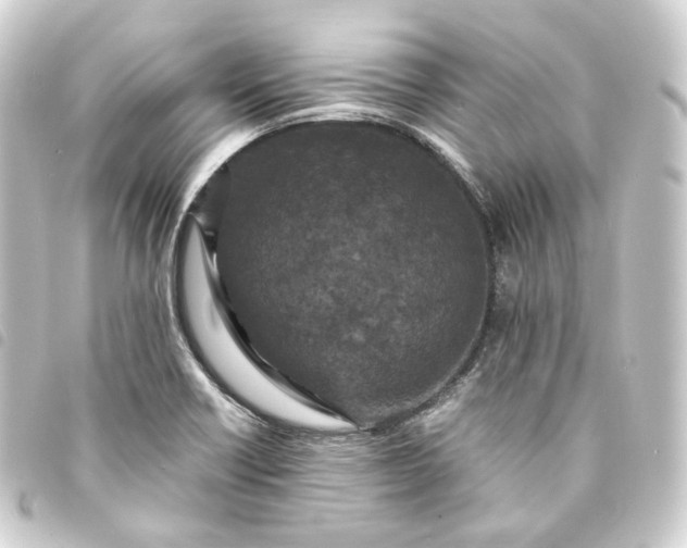 X0000093751418200710301116