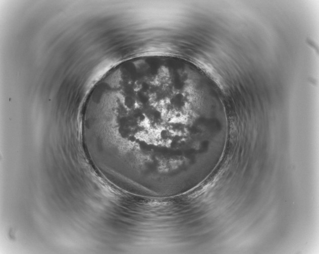 X0000093751419200710301116