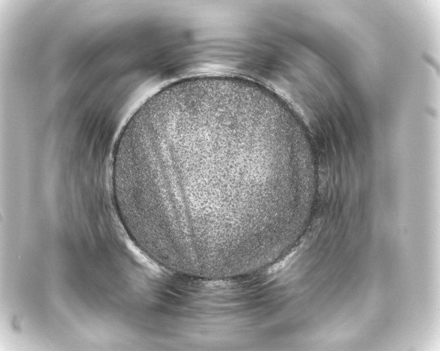 X0000093751421200710301116