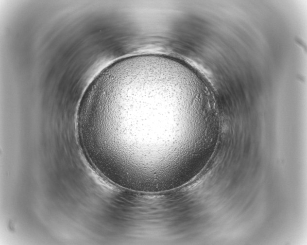 X0000093751423200710301116