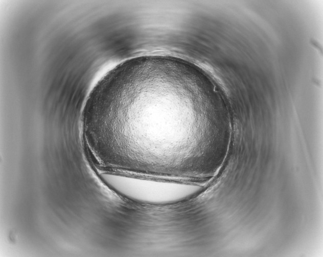 X0000093751424200710301116