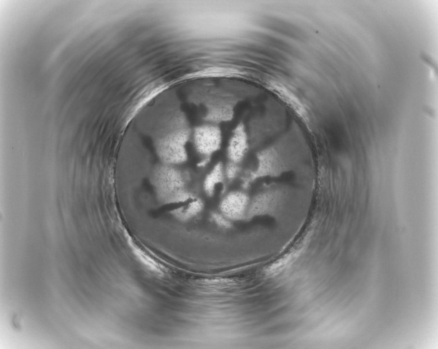 X0000093751425200710301116