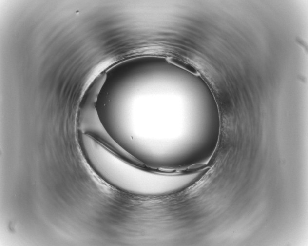 X0000093751426200710301116