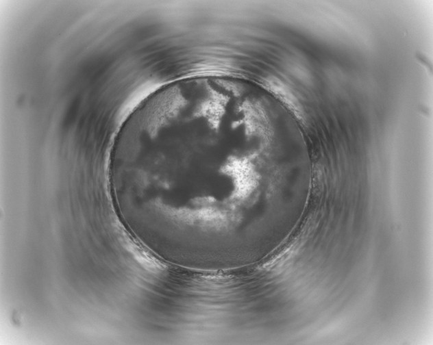 X0000093751427200710301116