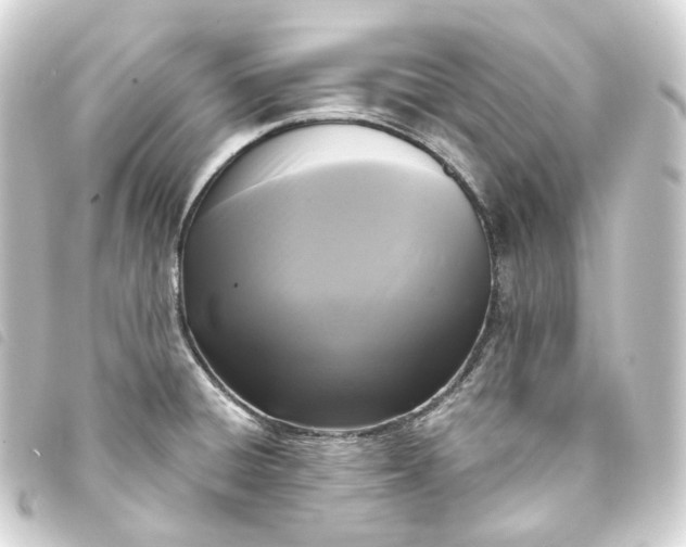 X0000093751428200710301116
