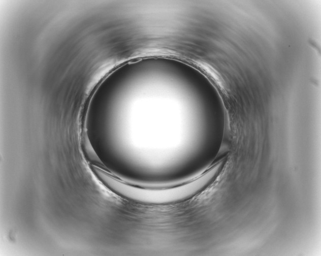 X0000093751430200710301116