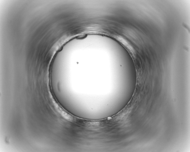 X0000093751431200710301116
