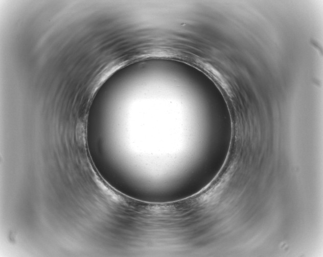 X0000093751433200710301116