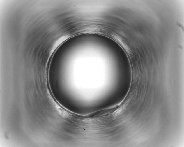 X0000093751434200710301116