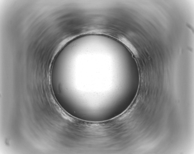 X0000093751436200710301116