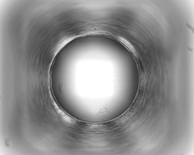X0000093751439200710301116