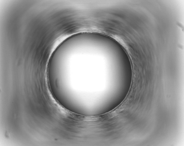 X0000093751440200710301116