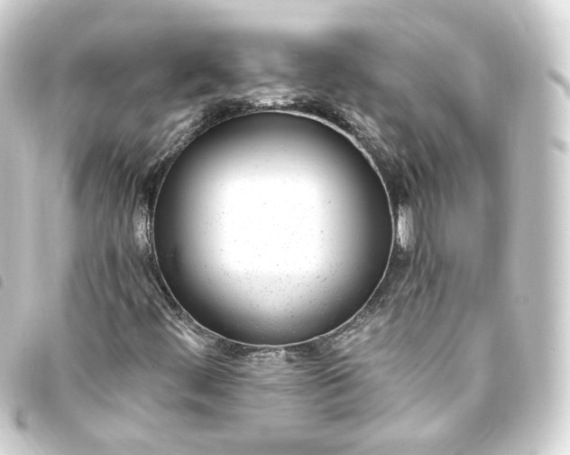 X0000093751444200710301115