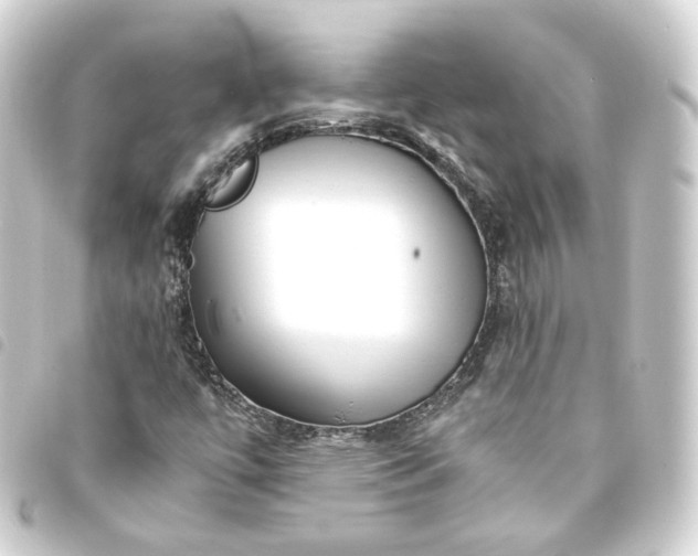 X0000093751447200710301115