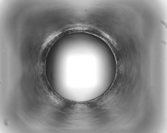 X0000093751448200710301115