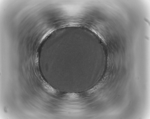 X0000093751450200710301115