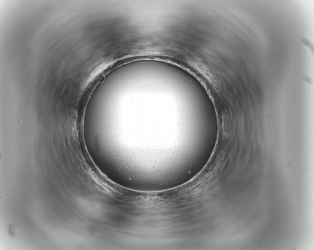 X0000093751452200710301115