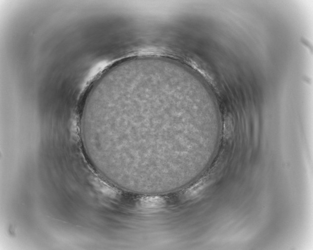 X0000093751454200710301115