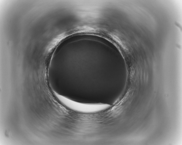 X0000093751455200710301115