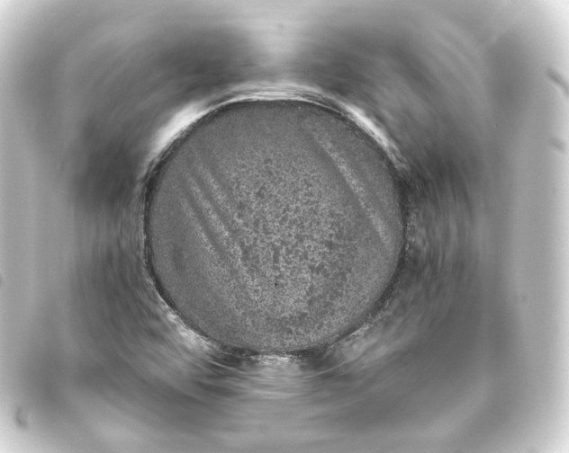 X0000093751456200710301115