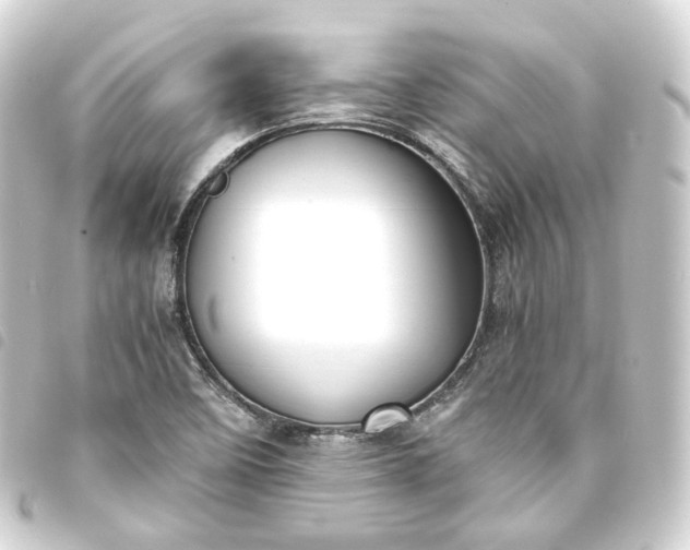 X0000093751458200710301115
