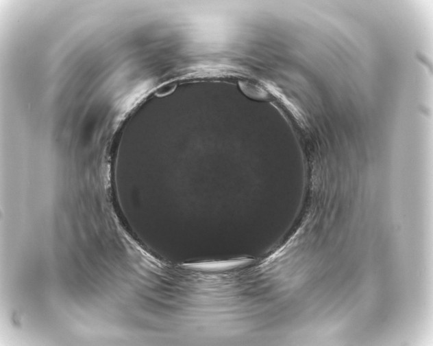 X0000093751459200710301115