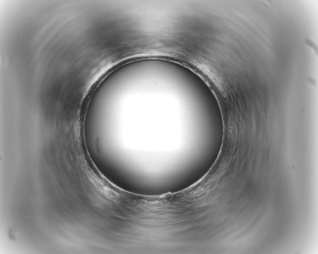 X0000093751460200710301115