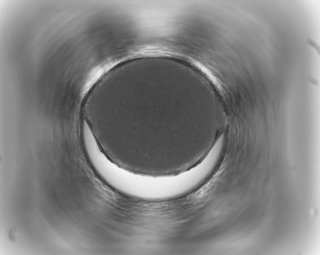 X0000093751461200710301115