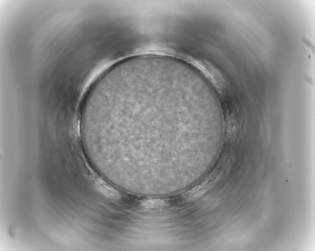 X0000093751462200710301115