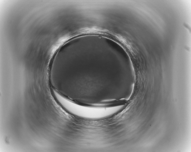 X0000093751463200710301115