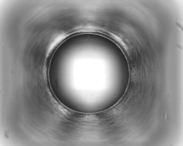 X0000093751464200710301115