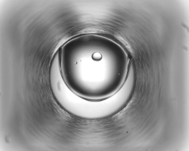 X0000093751465200710301115