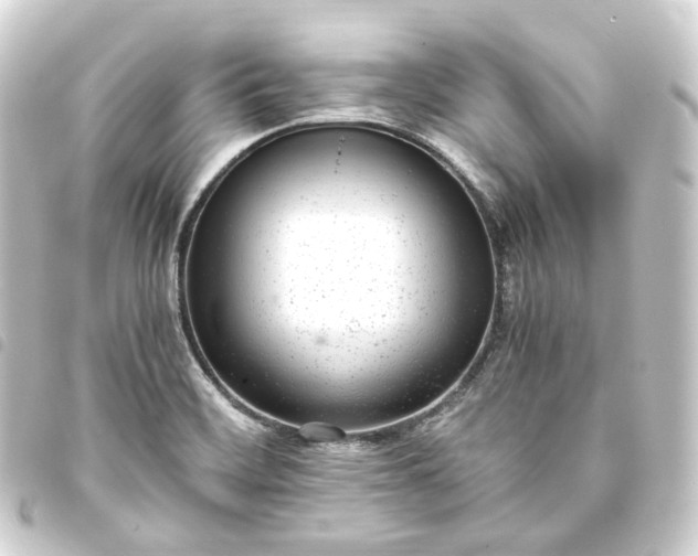 X0000093751468200710301115