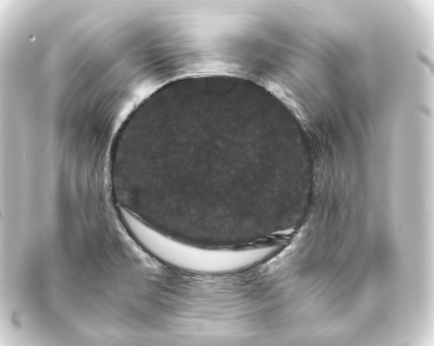 X0000093751469200710301115