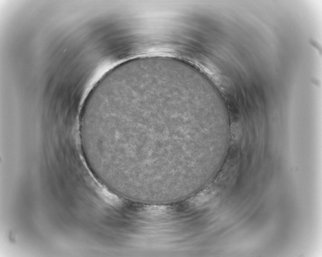 X0000093751470200710301115