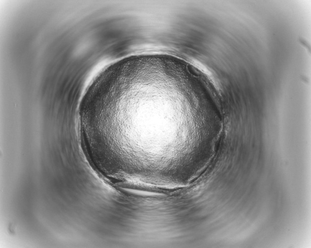 X0000093751472200710301115