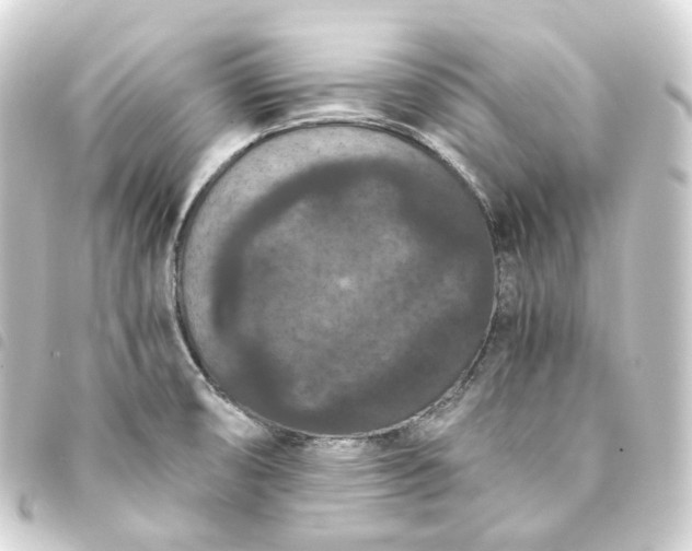 X0000093751474200710301115