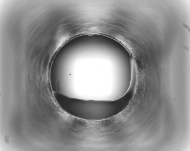X0000093751477200710301115