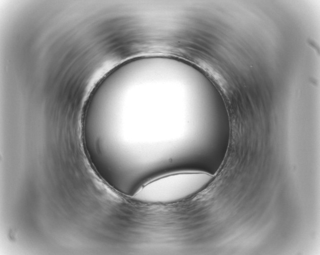 X0000093751480200710301115