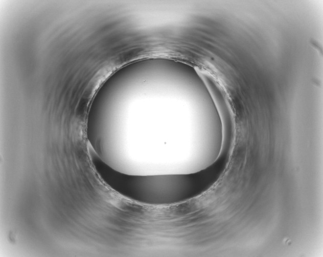 X0000093751481200710301115