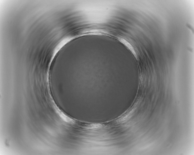 X0000093751482200710301115