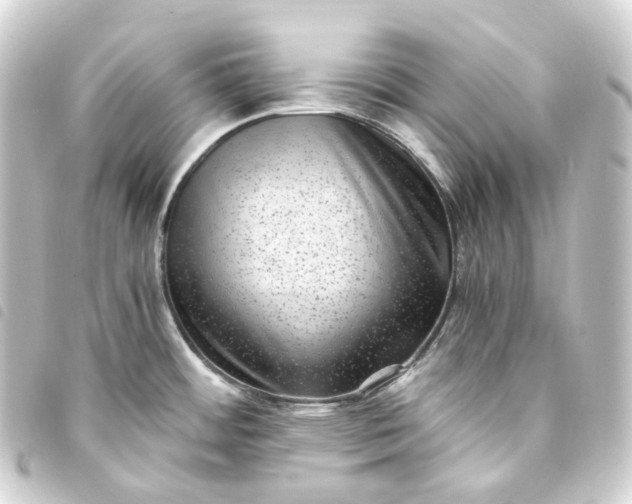 X0000093751484200710301115