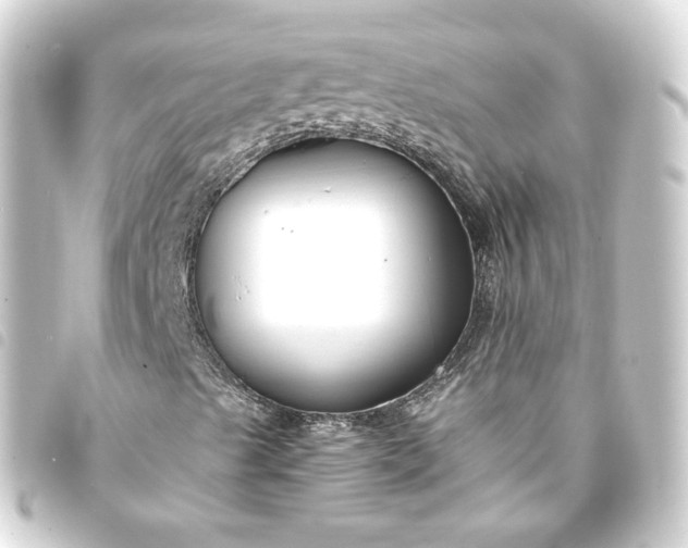 X0000093751489200710301114
