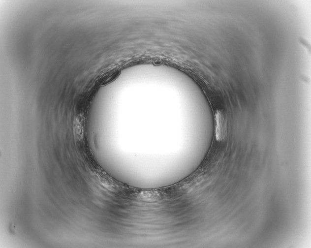 X0000093751491200710301114
