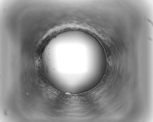 X0000093751495200710301114