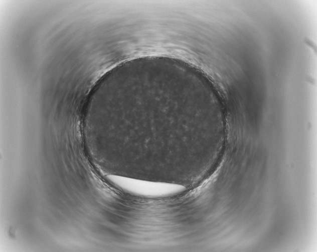 X0000093751497200710301114