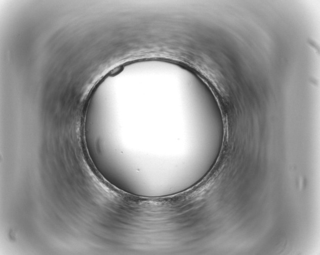X0000093751500200710301114
