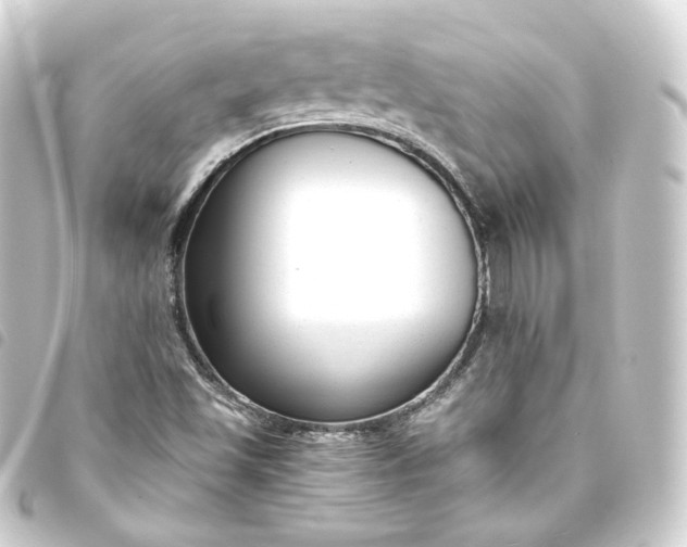 X0000093751501200710301114