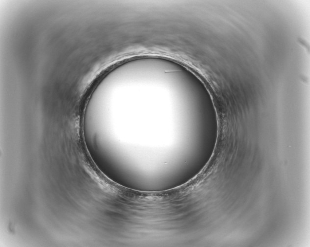 X0000093751503200710301114
