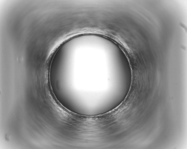 X0000093751504200710301114